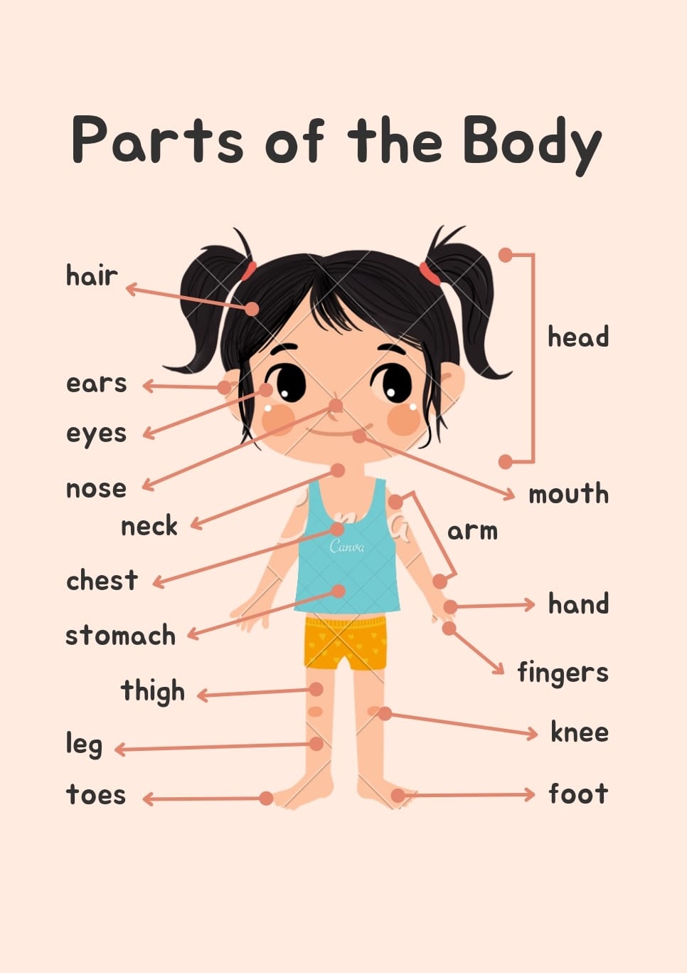 Kids Vocabulary Parts Of The Body Parts Of The Body In English 