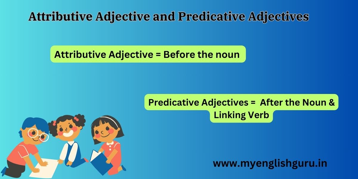 Attributive Adjective and Predicative Adjectives